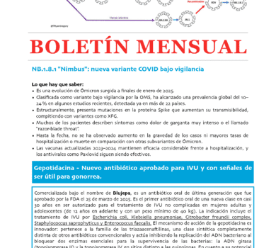 Boletín Vol. 18 · Junio 2025